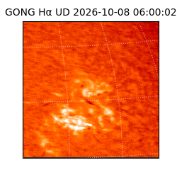 gong - 2026-10-08T06:00:02