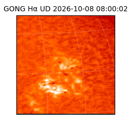 gong - 2026-10-08T08:00:02
