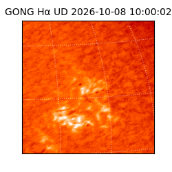 gong - 2026-10-08T10:00:02