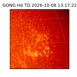 gong - 2026-10-08T13:17:22