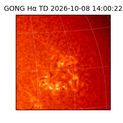 gong - 2026-10-08T14:00:22