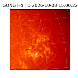 gong - 2026-10-08T15:00:22