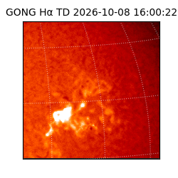 gong - 2026-10-08T16:00:22