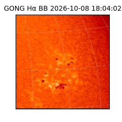 gong - 2026-10-08T18:04:02