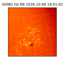 gong - 2026-10-08T19:01:02