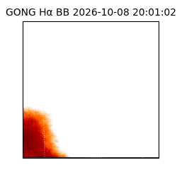 gong - 2026-10-08T20:01:02
