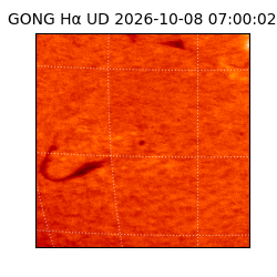gong - 2026-10-08T07:00:02