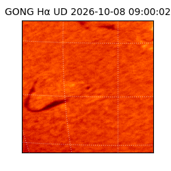 gong - 2026-10-08T09:00:02