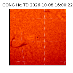 gong - 2026-10-08T16:00:22