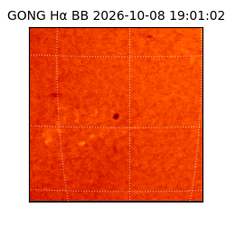 gong - 2026-10-08T19:01:02
