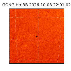 gong - 2026-10-08T22:01:02