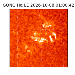 gong - 2026-10-08T01:00:42