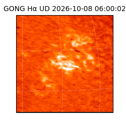 gong - 2026-10-08T06:00:02