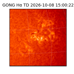 gong - 2026-10-08T15:00:22