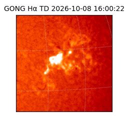 gong - 2026-10-08T16:00:22