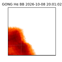 gong - 2026-10-08T20:01:02