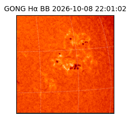 gong - 2026-10-08T22:01:02