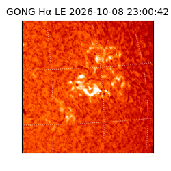 gong - 2026-10-08T23:00:42