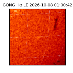gong - 2026-10-08T01:00:42