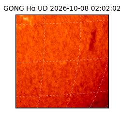 gong - 2026-10-08T02:02:02