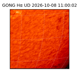 gong - 2026-10-08T11:00:02
