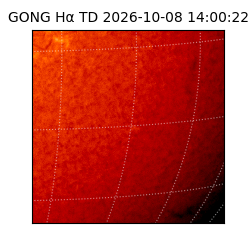 gong - 2026-10-08T14:00:22