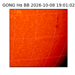 gong - 2026-10-08T19:01:02