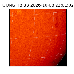 gong - 2026-10-08T22:01:02