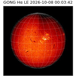 gong - 2026-10-08T00:03:42