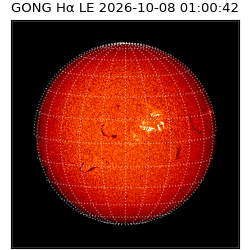 gong - 2026-10-08T01:00:42