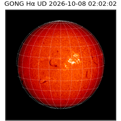 gong - 2026-10-08T02:02:02