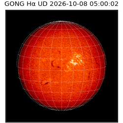 gong - 2026-10-08T05:00:02