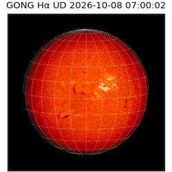 gong - 2026-10-08T07:00:02