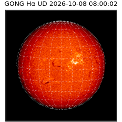 gong - 2026-10-08T08:00:02