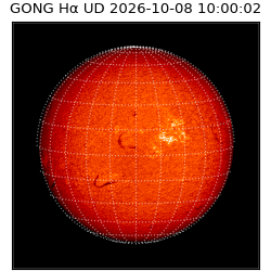 gong - 2026-10-08T10:00:02