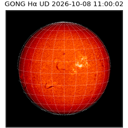 gong - 2026-10-08T11:00:02