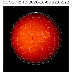 gong - 2026-10-08T12:02:22