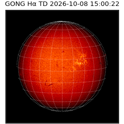 gong - 2026-10-08T15:00:22