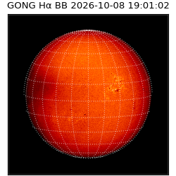 gong - 2026-10-08T19:01:02