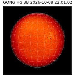 gong - 2026-10-08T22:01:02