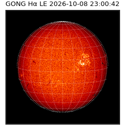 gong - 2026-10-08T23:00:42