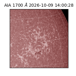 saia - 2026-10-09T14:00:28.717000
