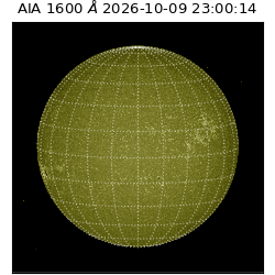 saia - 2026-10-09T23:00:14.122000