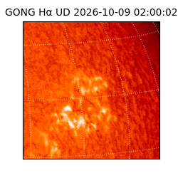 gong - 2026-10-09T02:00:02
