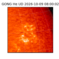 gong - 2026-10-09T08:00:02