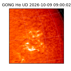 gong - 2026-10-09T09:00:02