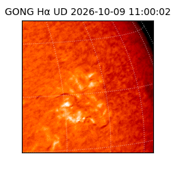 gong - 2026-10-09T11:00:02