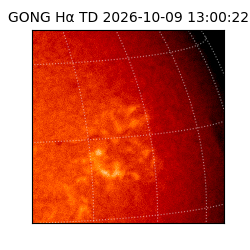 gong - 2026-10-09T13:00:22