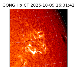 gong - 2026-10-09T16:01:42