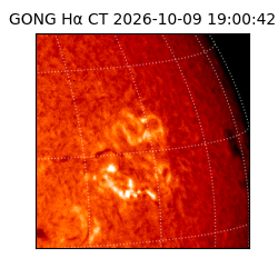 gong - 2026-10-09T19:00:42